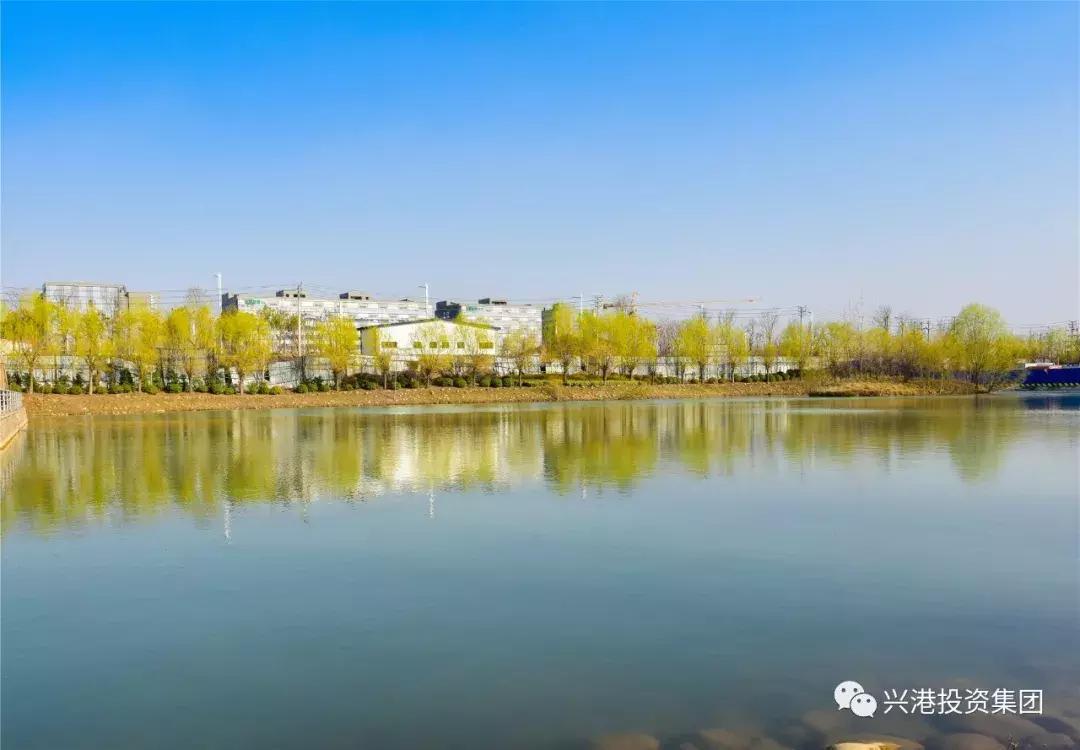 为什么要在新区买房,为什么要在港务区买房