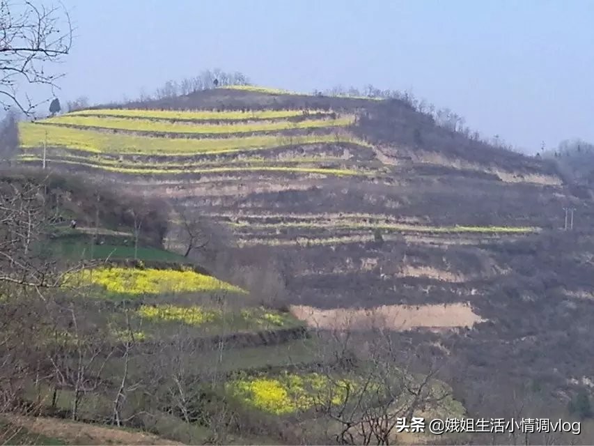 陕西眉县撤县最新消息,眉县撤县设市最新信息