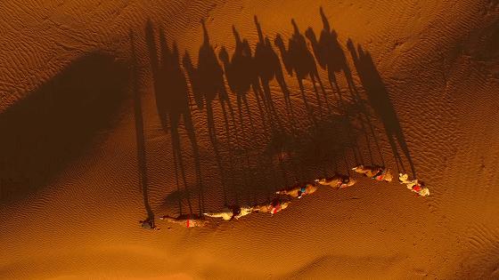 倒计时1h捡漏攻略!阿丽拉、悦榕庄、嘉佩乐…酒店控必囤清单在这