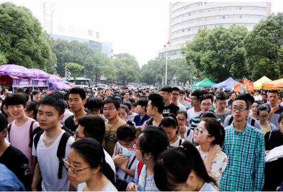 专科志愿填报几个专业比较好就业,大专填志愿选什么专业最好