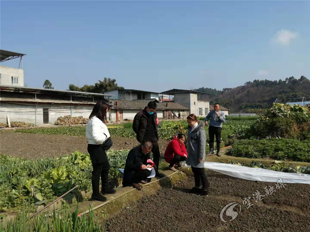 防疫工作发挥党员先锋模范作用,让党旗飘扬在防疫工作第一线