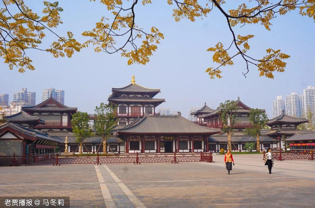 洛阳第三职专,洛阳第三季度gdp