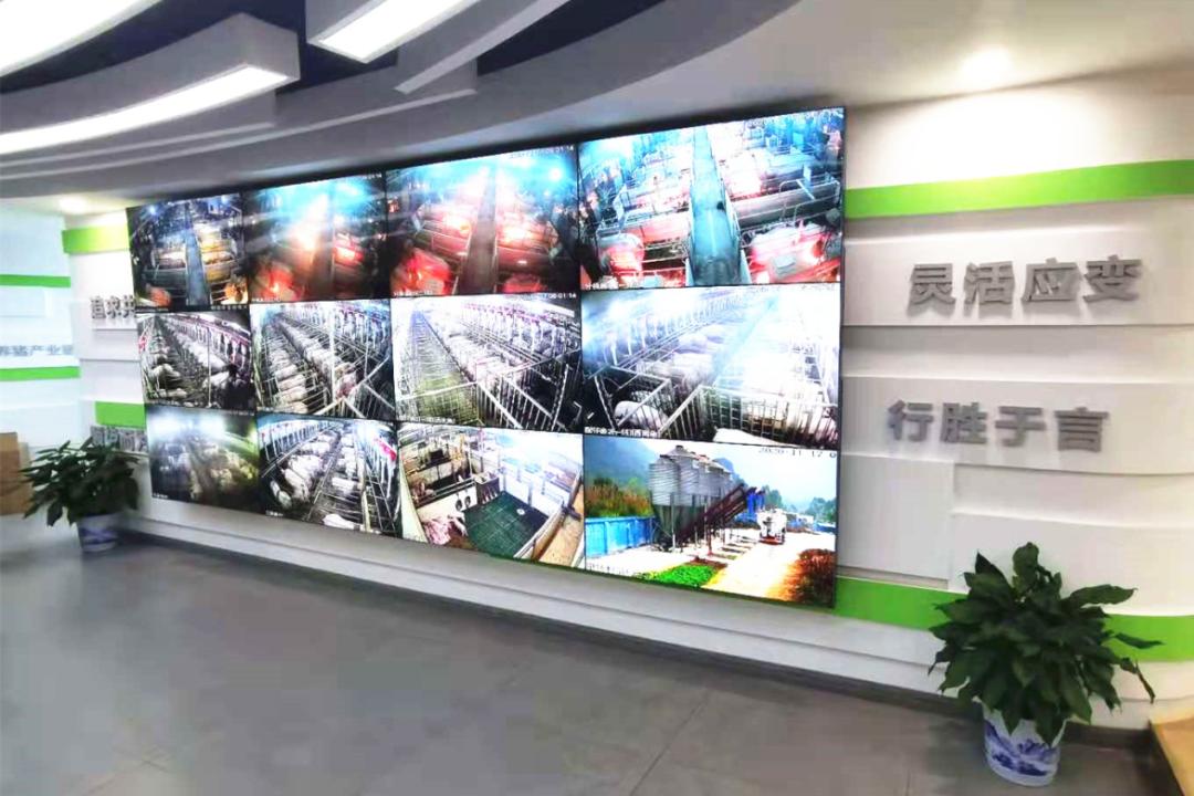 建行支持乡村振兴,建行乡村振兴贷