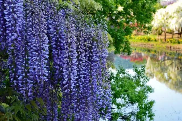 日本景点小众旅游攻略推荐,日本小众旅游景点推荐