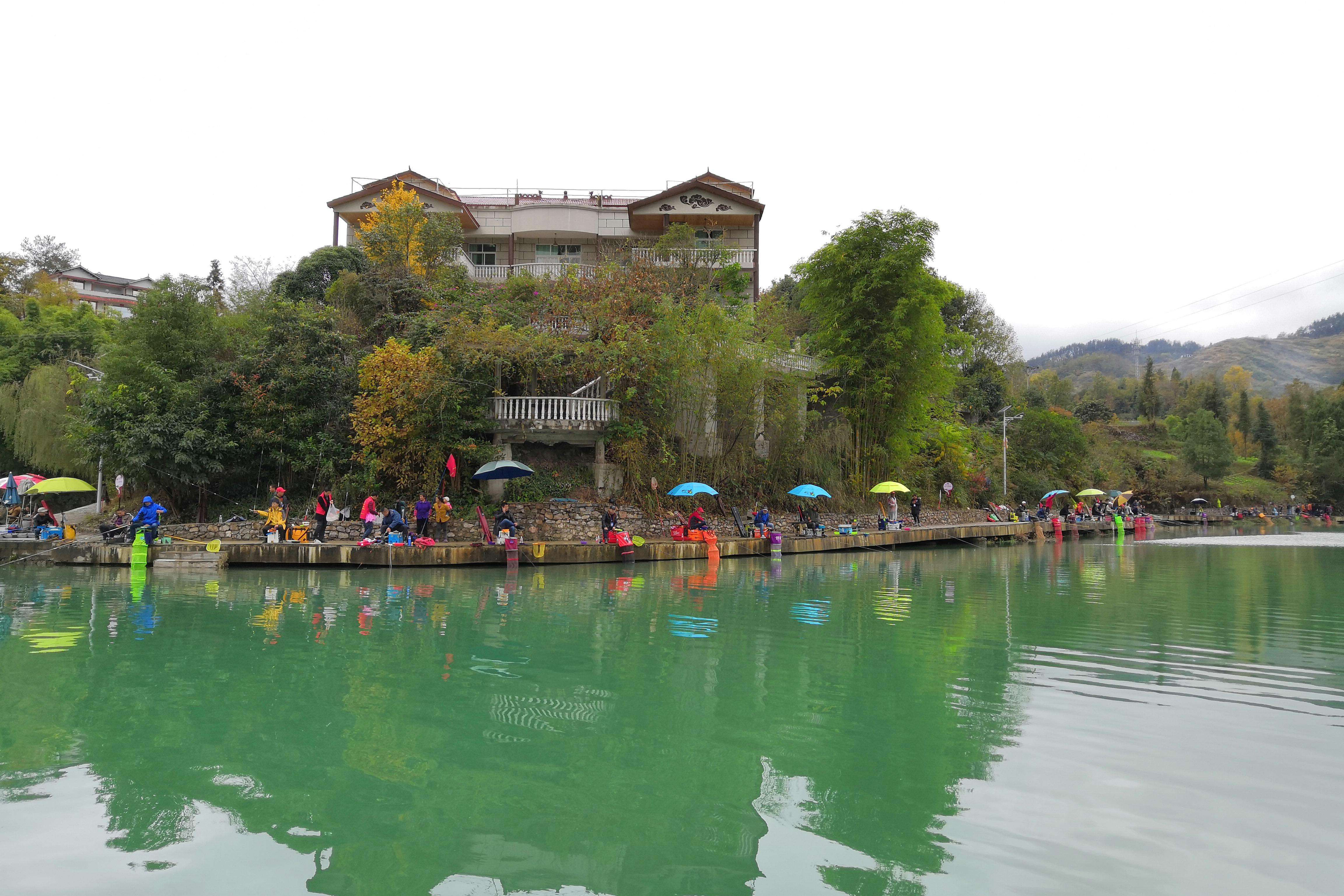 钓滑口鲤鱼怎么越钓越少,钓滑口鱼调高钓低还是调低钓高