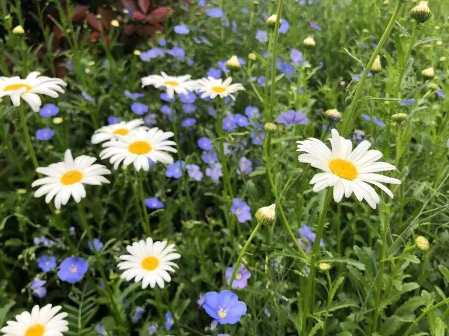 泰州溱湖中式别墅售价多少,泰州溱湖度假村