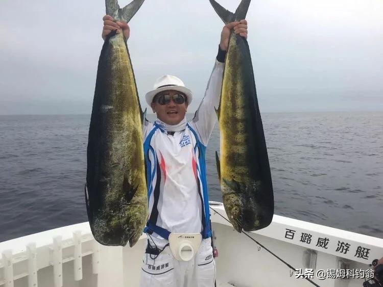 加拿大钓鱼视频教程,加拿大钓鱼攻略大全