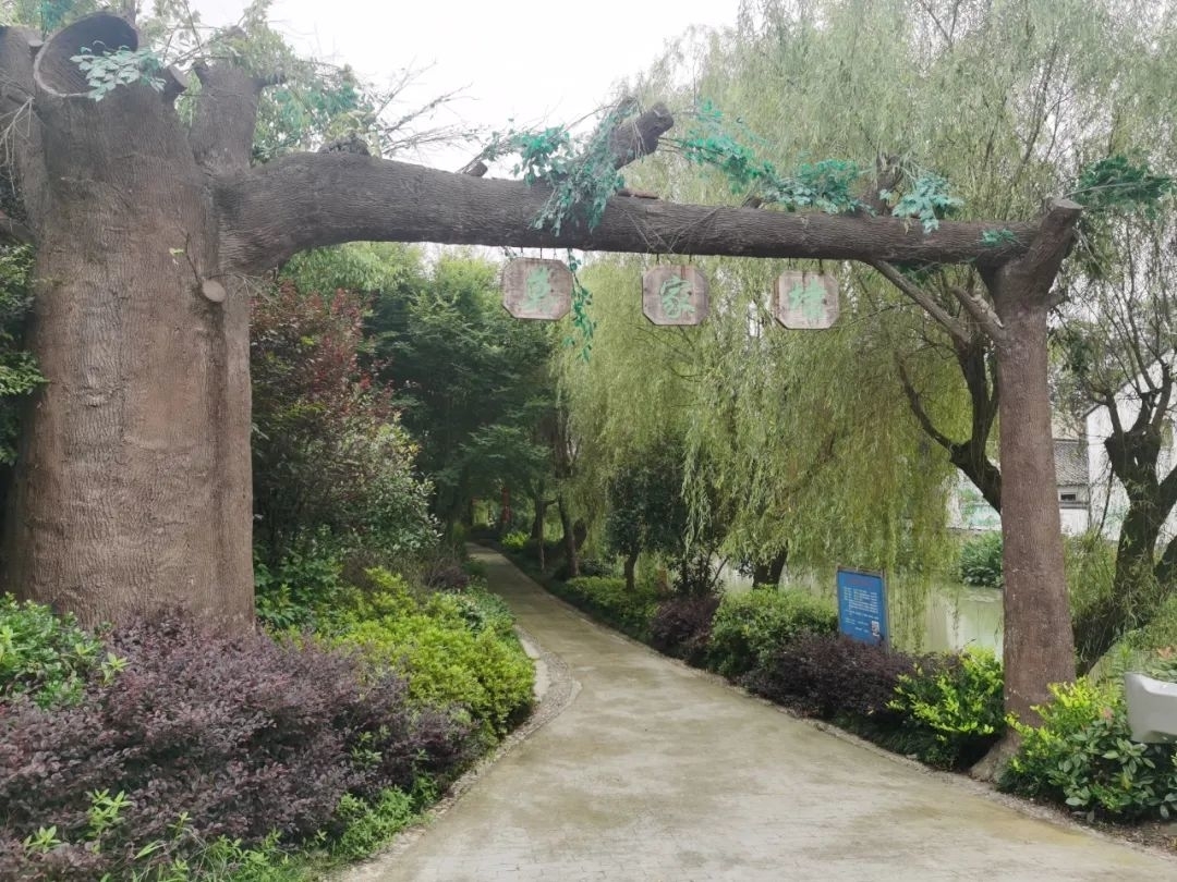 心怀淡雅不落俗,心怀淡雅