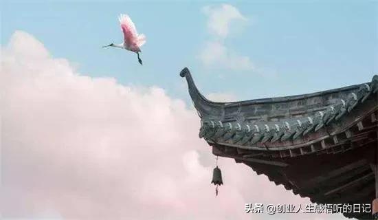 才华横溢令人惊呆的诗,才华横溢十首诗