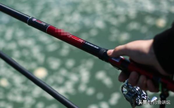 中通竿、前打竿和矶钓竿，究竟该选哪一个？这篇文章告诉你答案