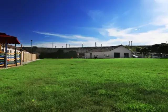 什么地方适合带猫狗玩耍,北京铲屎官可以带狗玩的地方