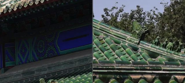 佳能rf100-500mm镜头拍鸟,佳能长焦相机100倍