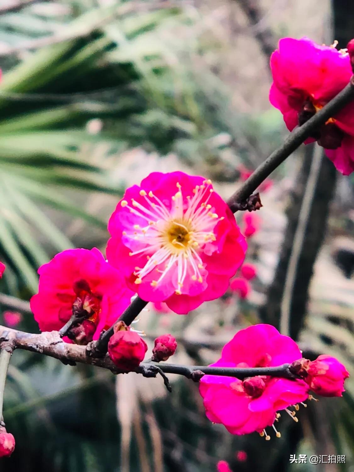 记住摄影口诀,轻松拍出好照片!