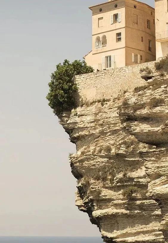 难得一见的照片,难得一见真实照片