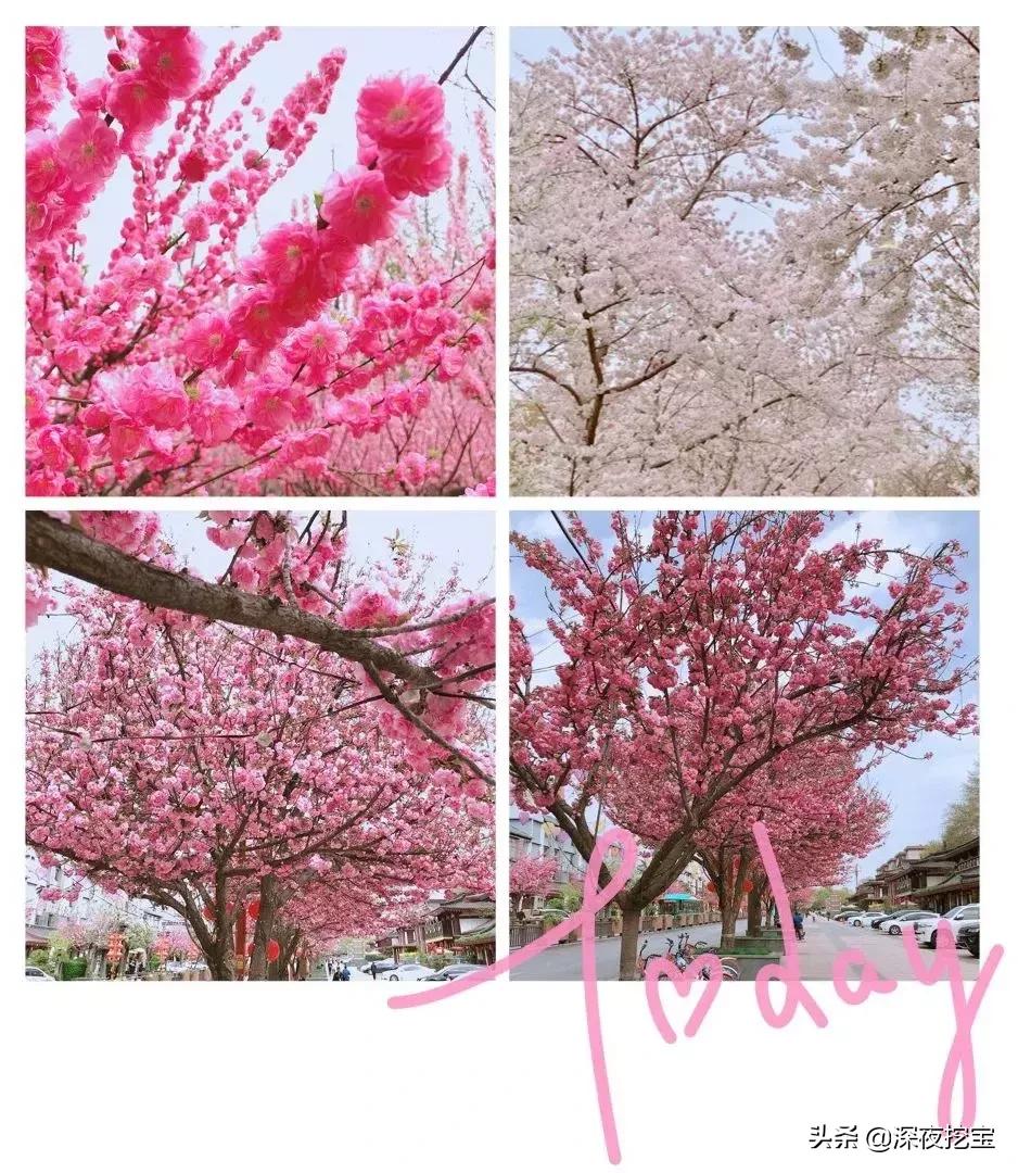 mac新品来袭,mac重磅新品