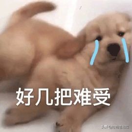 脚背高脚宽怎么选鞋,女生脚大怎么选鞋显脚小