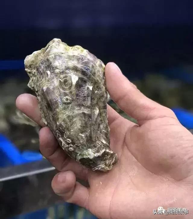 水煮贝壳类海鲜煮多久,海边海鲜用什么水煮好吃