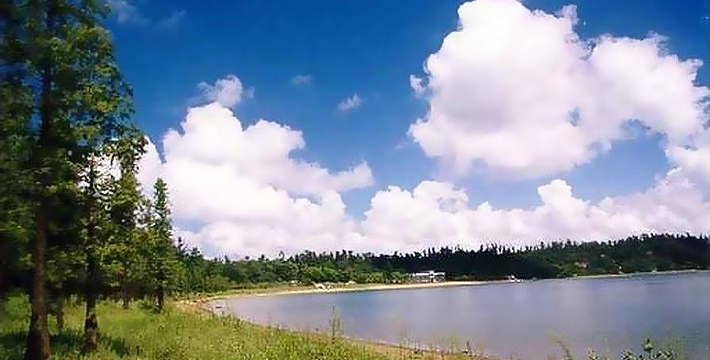 广东湛江42亿项目获批,关于湛江2023广东省重点项目清单