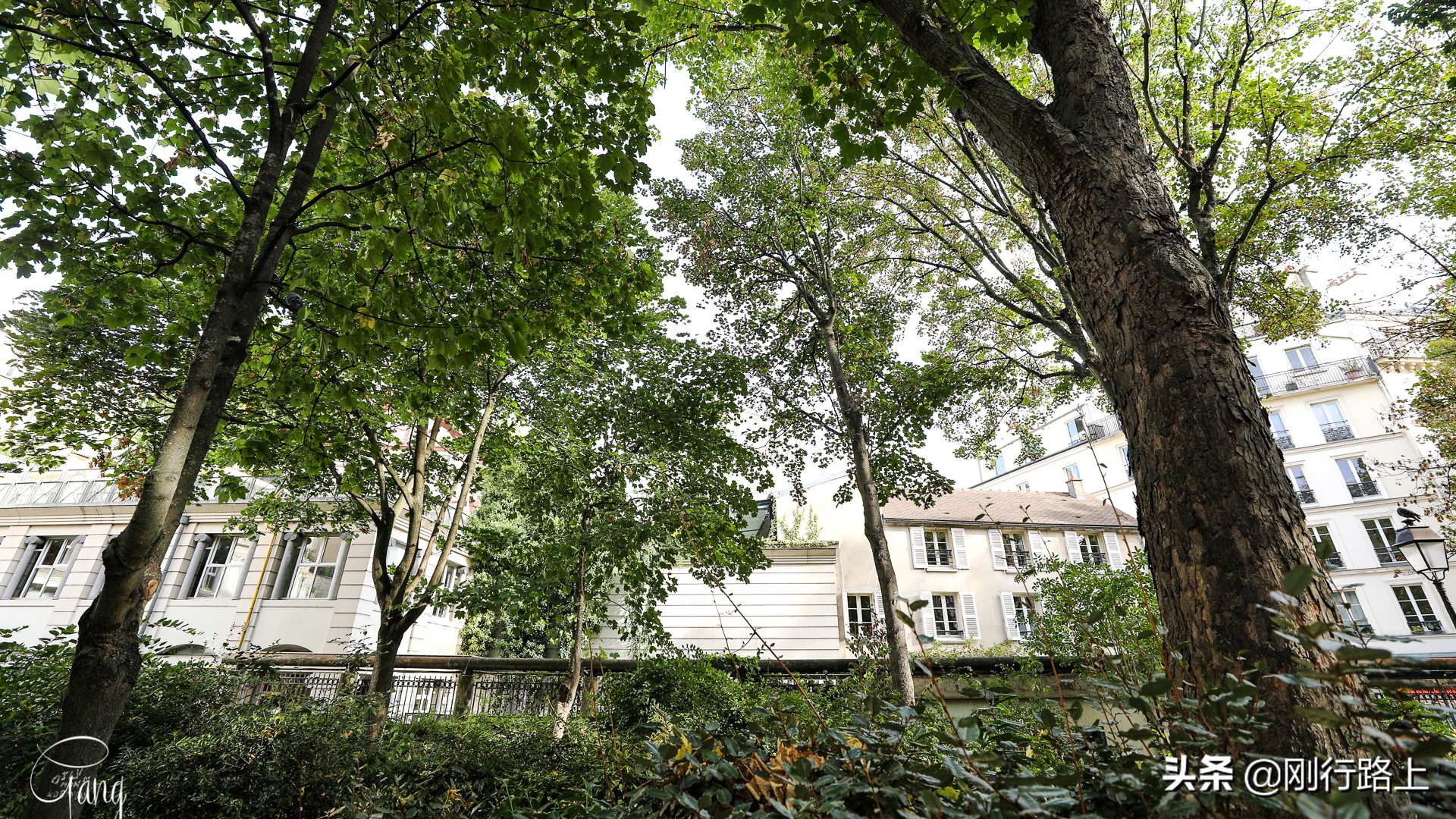 用全世界的语言说爱你的巴黎爱墙，你可曾向最爱的她表白过