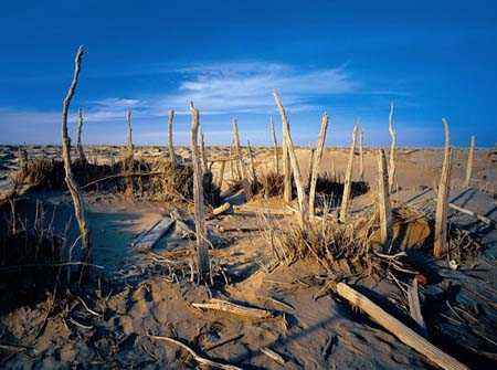 楼兰古墓怎么发现,楼兰遗址发现的遗骨经过复原