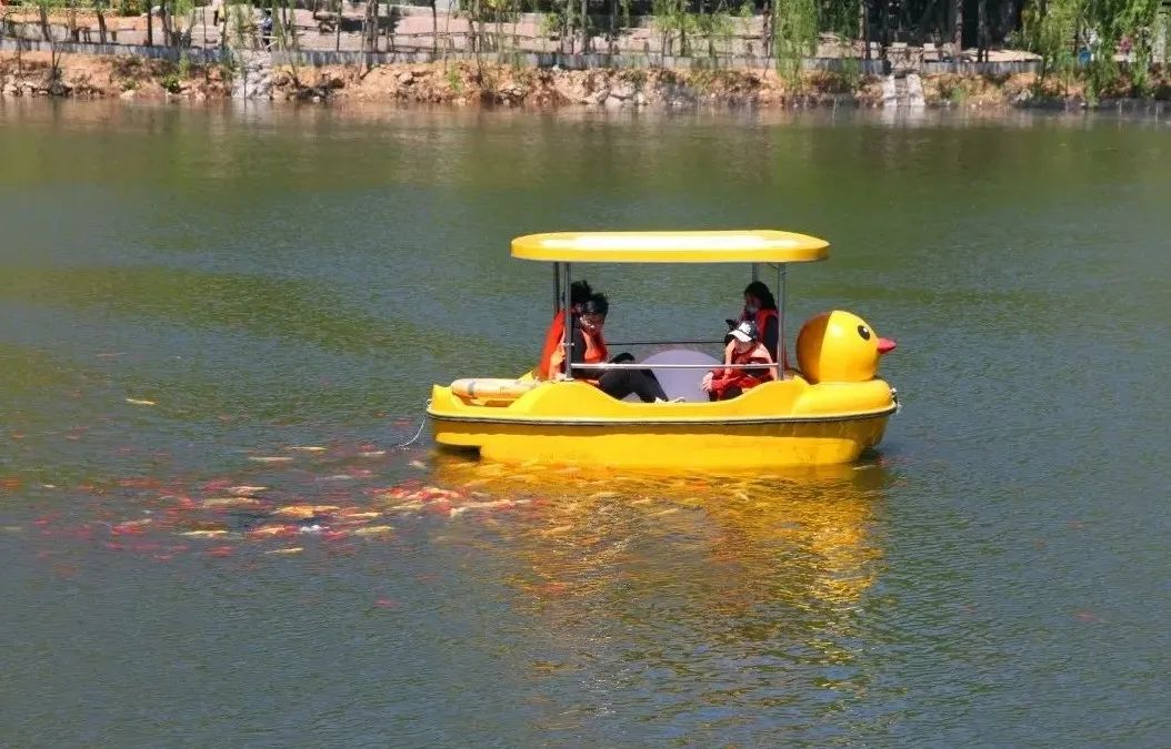 济南适合遛娃的免费去处,春节遛娃好去处济南