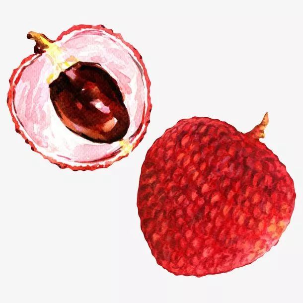 荔枝来了宜宾,荔枝来了视频大全