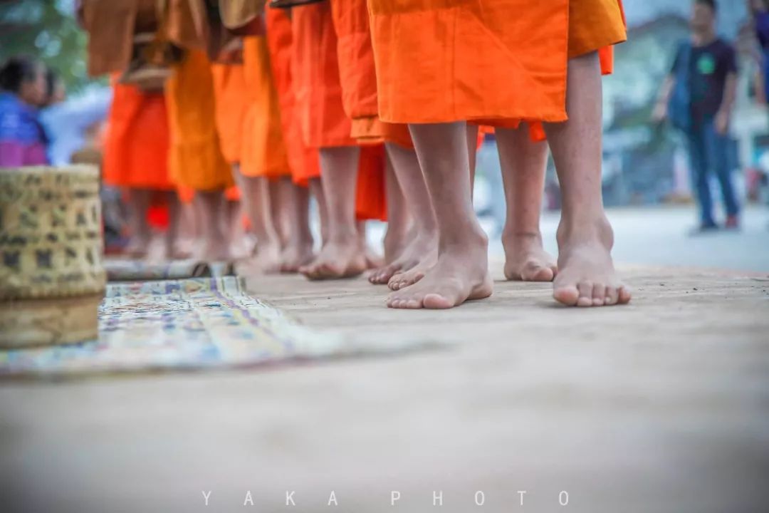 昆明自驾老挝超详细攻略,昆明老挝一日游