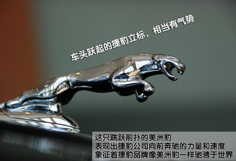 捷豹xj2019款xjl3.0sc璀璨臻藏版,1978年捷豹xj12v12当年落地多少钱