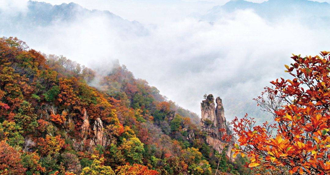 西泰山的特点是什么,西泰山为啥叫西泰山