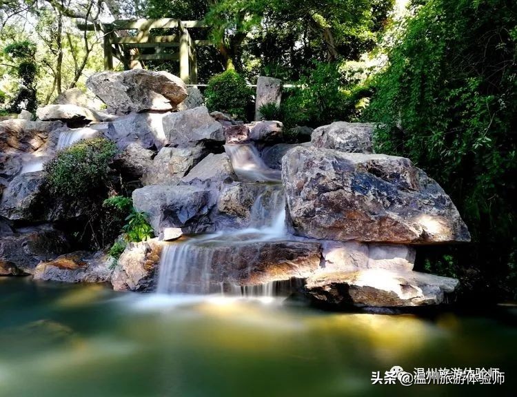 温州江心屿视频,游温州江心屿