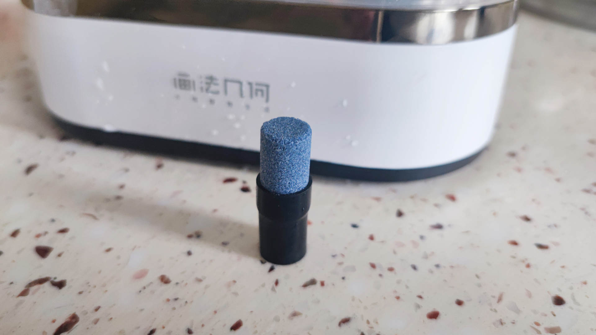 透明小型鱼缸可以养鱼吗,小型鱼缸养鱼知识