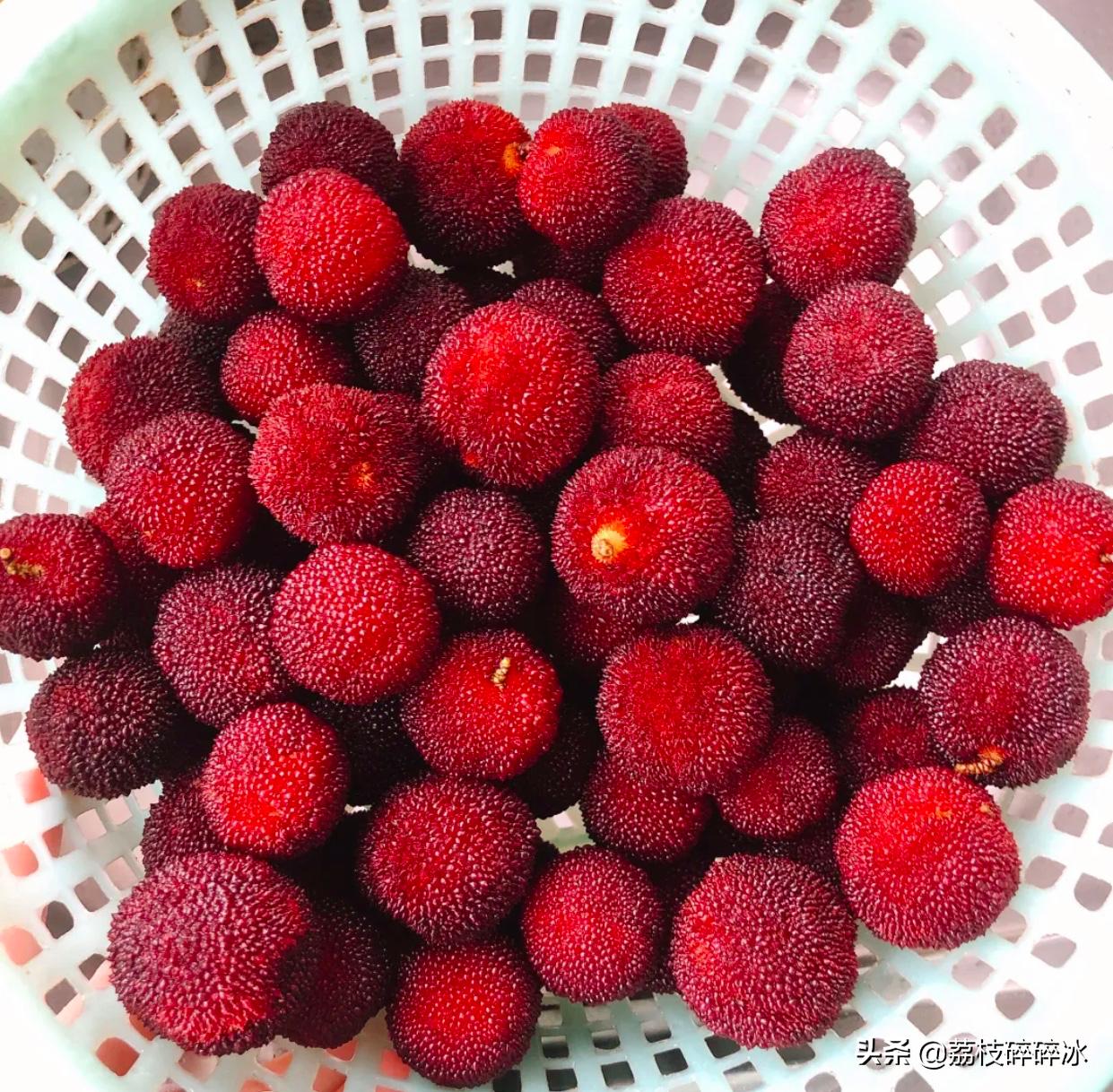 杨梅酒怎么做最正宗,杨梅酒怎么做才好喝又简单