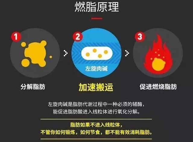 十种公认最减脂的食物,减脂营养素推荐