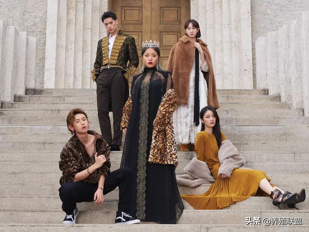 几千和几百的皮衣,一千块可以买什么档次的皮草