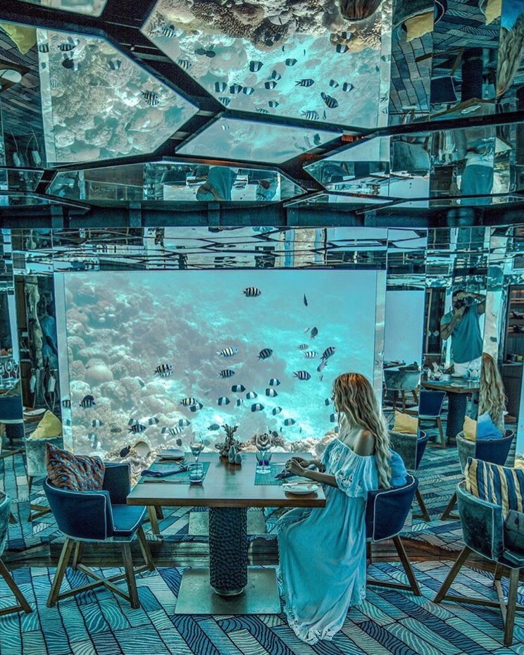 马尔代夫法式水上餐厅,马尔代夫海底餐厅视频