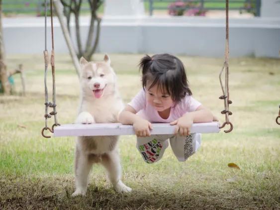 一只狗的图片,一只狗的自我安慰