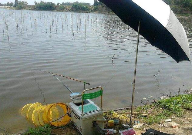 承包千亩水库!投放30万尾小鱼苗,收获季节却满脸愁容,什么情况