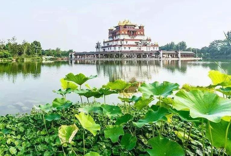 全国十大最佳赏荷好去处,沈阳赏荷花攻略