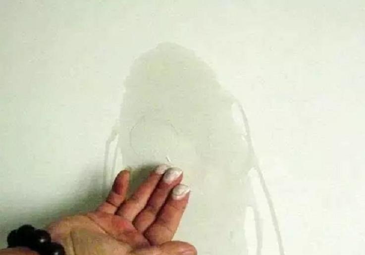 什么是耐水腻子,耐水腻子什么品牌的好