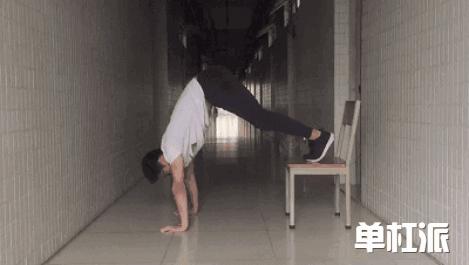 自由倒立撑训练方法,初学者如何掌握倒立撑