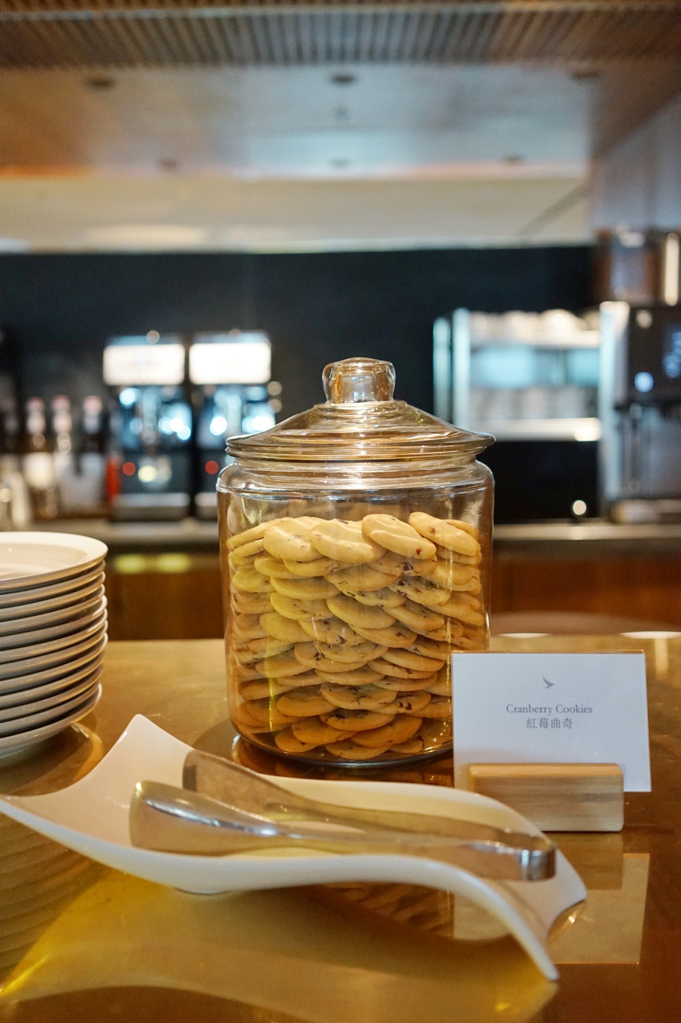 一定是特别的缘分——帕劳，再遇见「周若雪Patty」·上