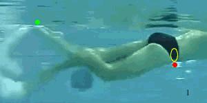 自由泳帅不帅,自由泳解锁鞭状打腿