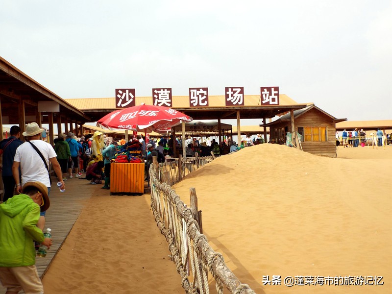 宁夏沙坡头旅游攻略,宁夏沙坡头游记