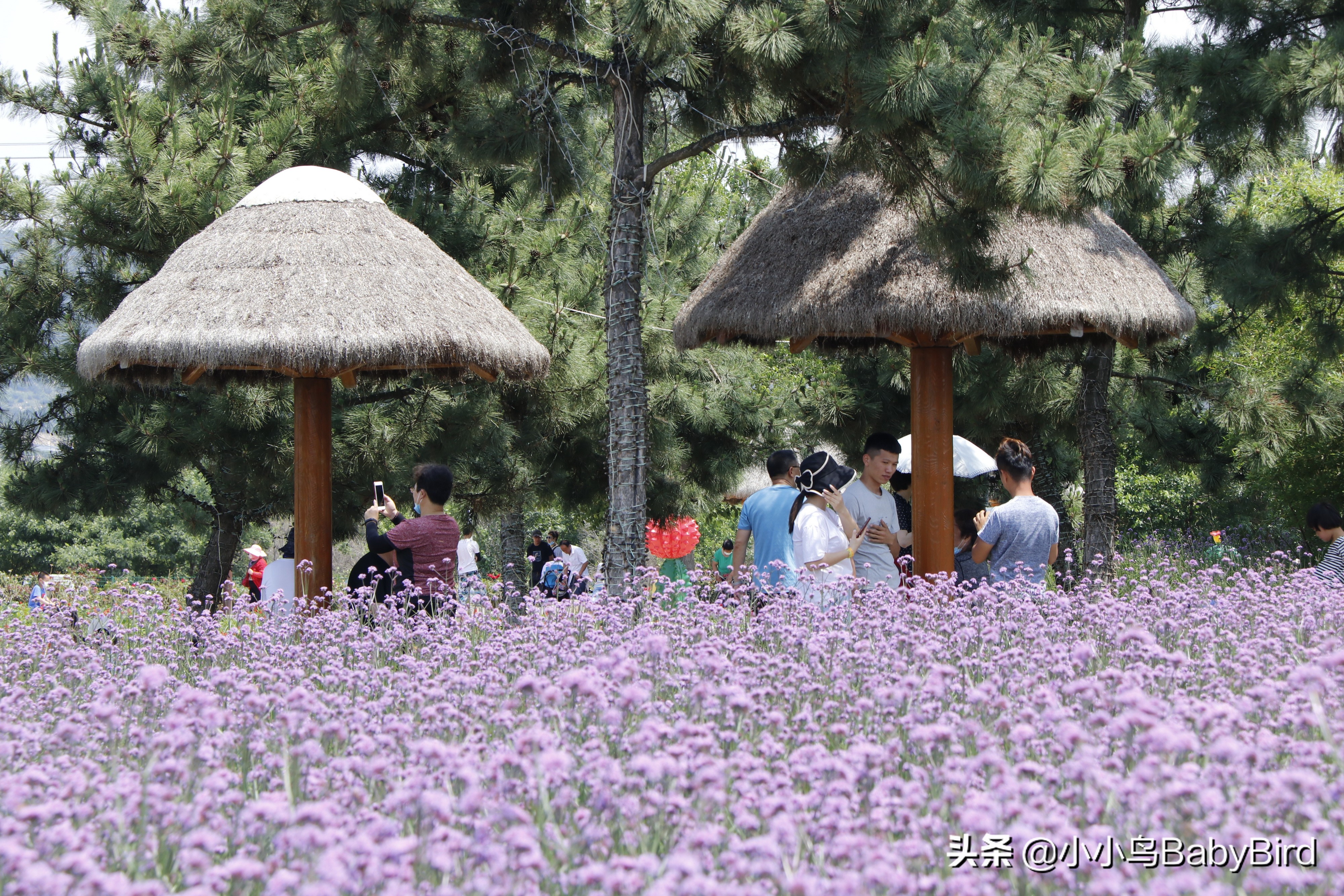 威海羊亭湿地公园,大美河畔