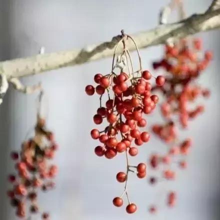 12个古代定情信物套装,古代定情信物男孩子送女孩子的