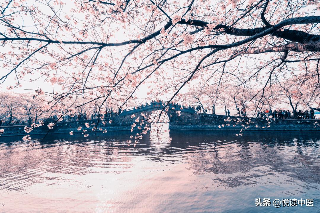 缓解胃肠痉挛的穴位,缓解胃肠痉挛的针剂叫什么