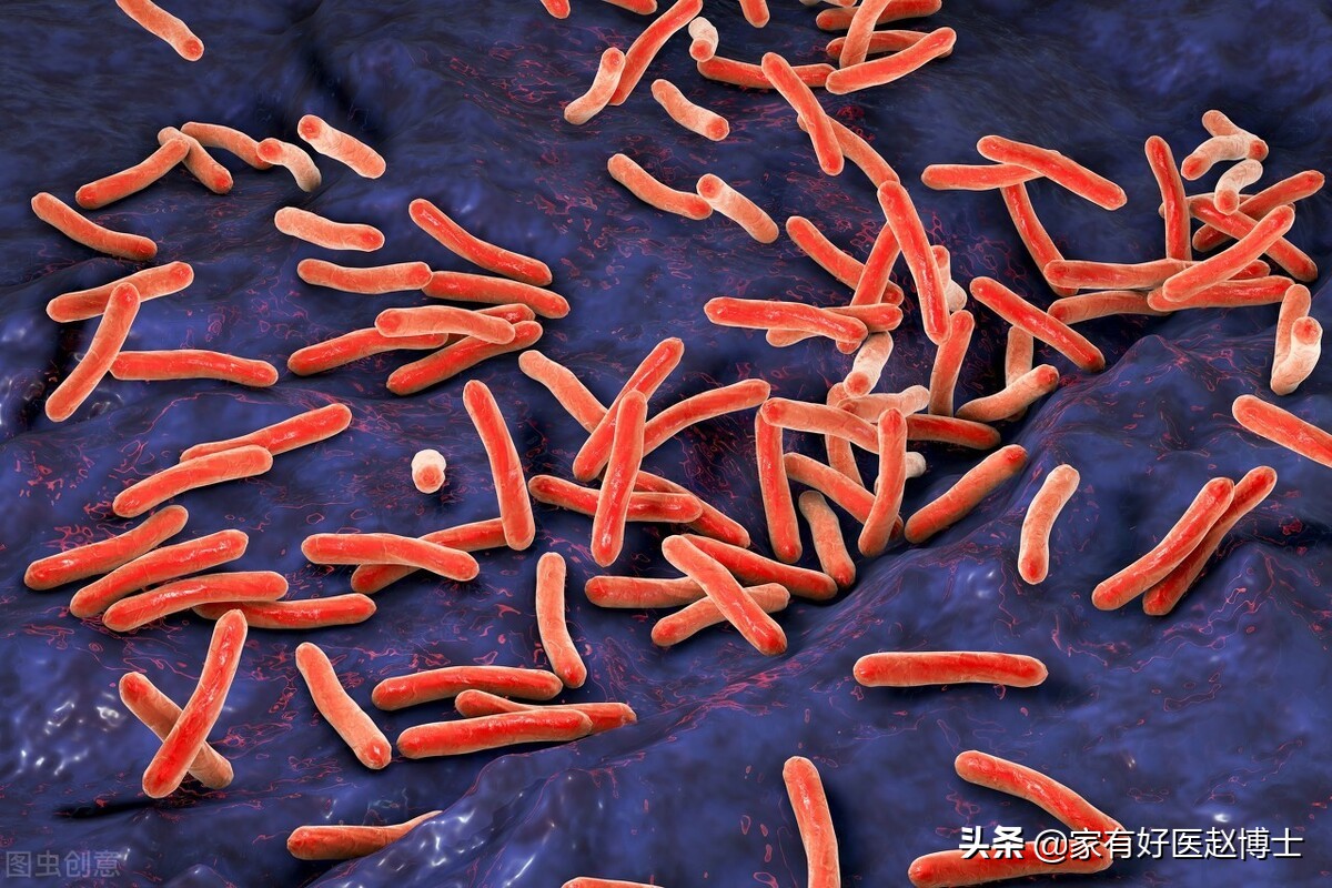 尿频、尿急、尿痛!尿路感染为何女性高发,预防与用药有何讲究?