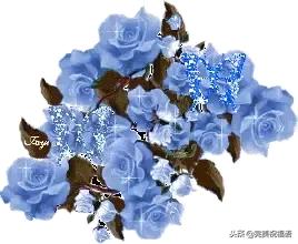 元旦祝福我的亲人和朋友,元旦祝福家人的话2020