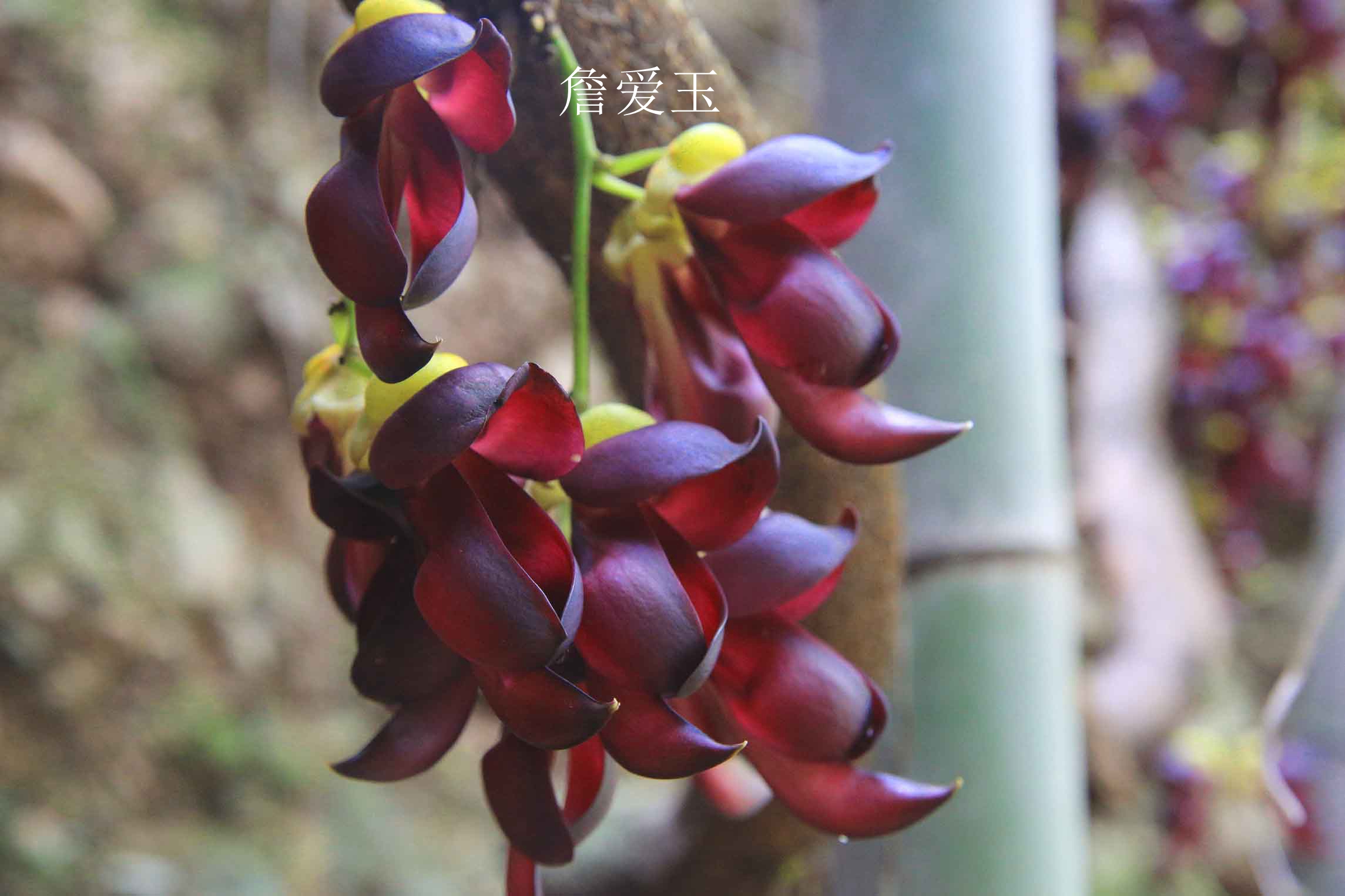 广丰周边一日游旅游景点推荐,广丰五一旅游攻略