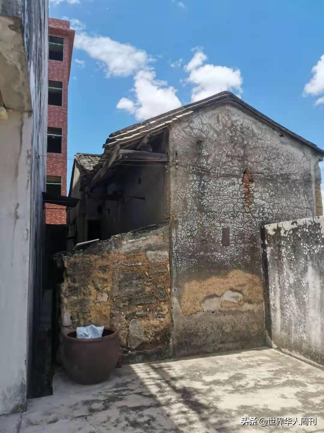 马来西亚华人回家路,马来西亚华人有想回国的吗